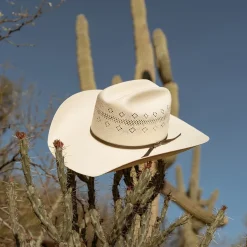 Baker 10X Straw Cowboy Hat-Stetson Discount