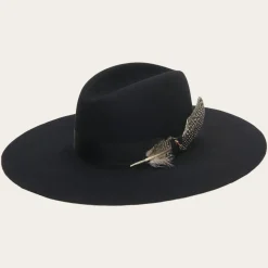 The Rapture-Stetson Online